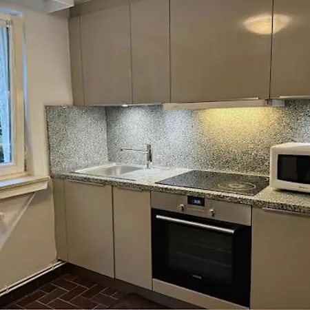 Apartment Chl One-bedroom Steps From Hospital-private Garden Included *