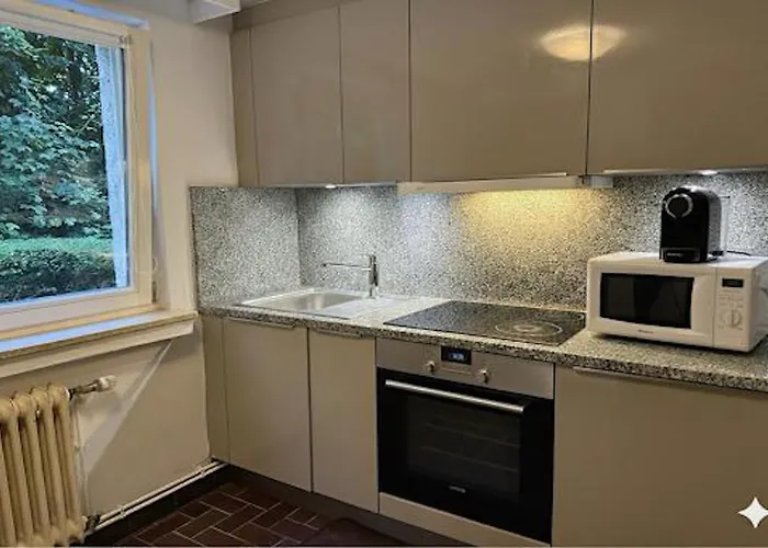 Apartment Chl One-bedroom Steps From Hospital-private Garden Included *